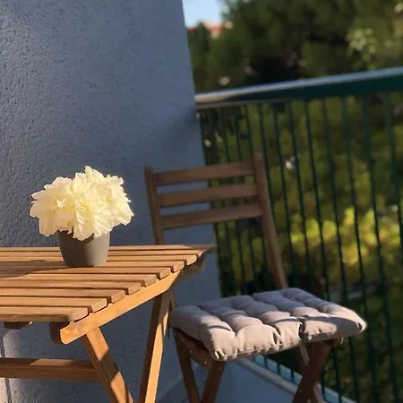 Apartment Mandica *